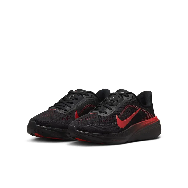 Nike Pegasus Black/University Red/Wolf Grey/Bright Crimson (IH2306-005)