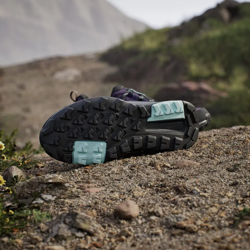 Adidas Terrex Anylander RAIN.RDY Hikingschoenen Aurora Plum / Core Black / Trace Brown (JQ1613)