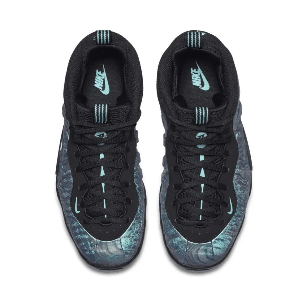 Nike Air Foamposite One Abalone (GS) Black/Aurora Green-Black-Aurora Green (AO8037-009)