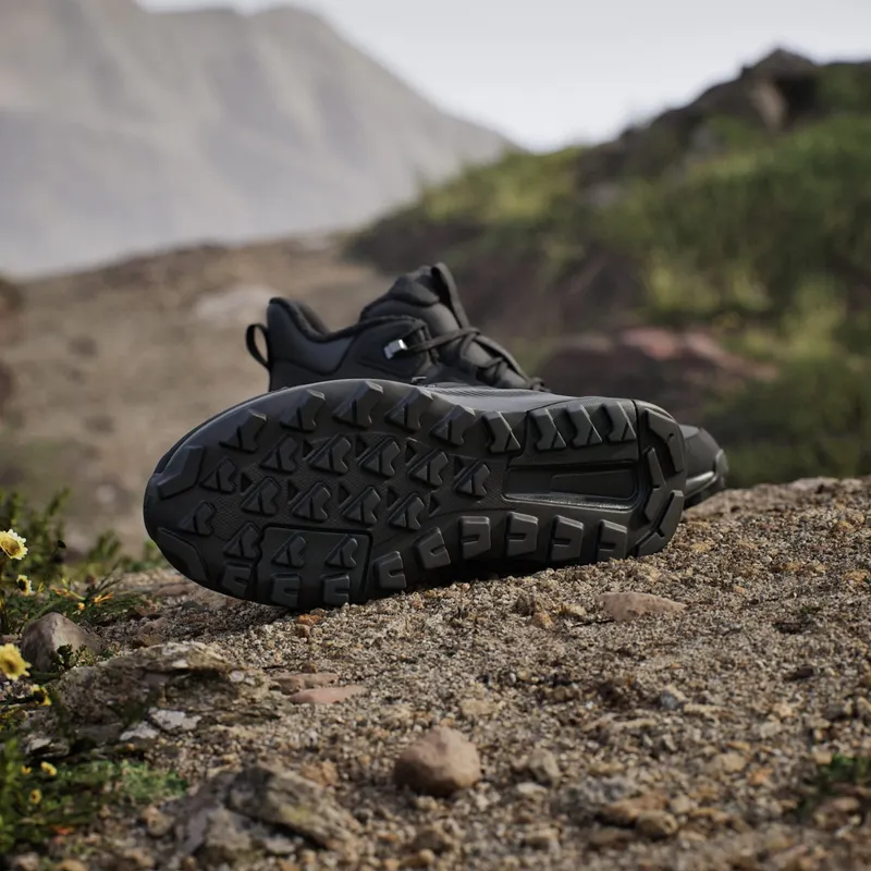Adidas Terrex Anylander CLIMAWARM+ Hiking Shoes Carbon / Core Black / Grey Six (JH8777)