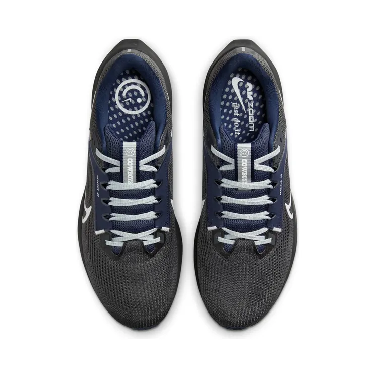 nike-air-pegasus DZ5975-001