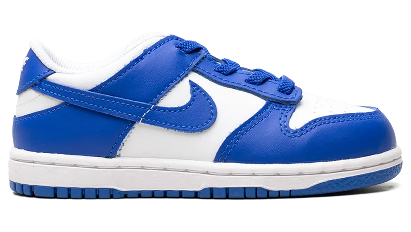 nike-dunk FB9107-131