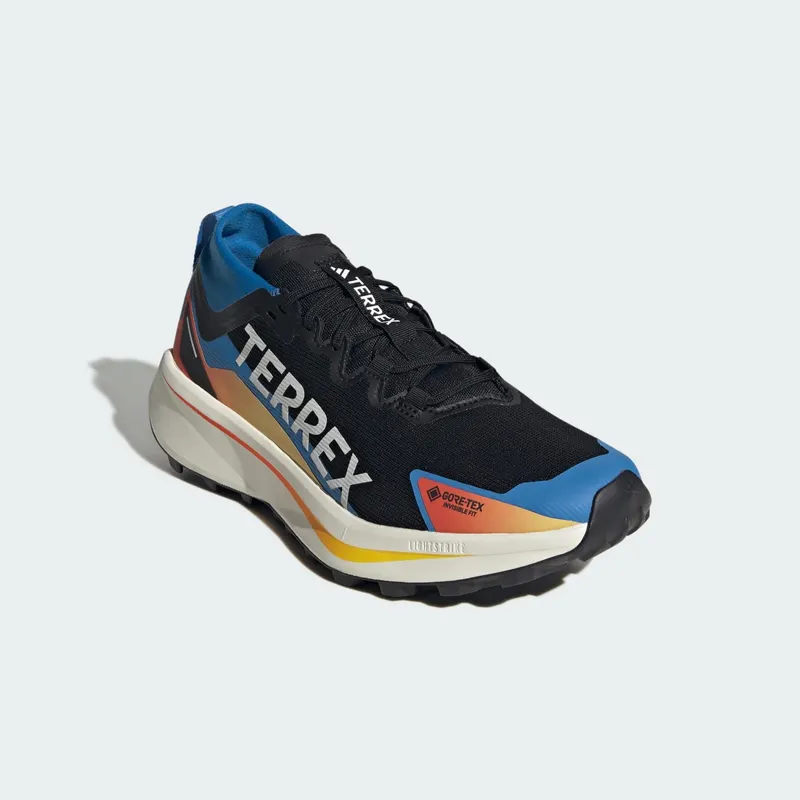 Adidas Terrex Agravic GTX Trail Running Core Black / Cloud White / Ray Blue (JR9105)