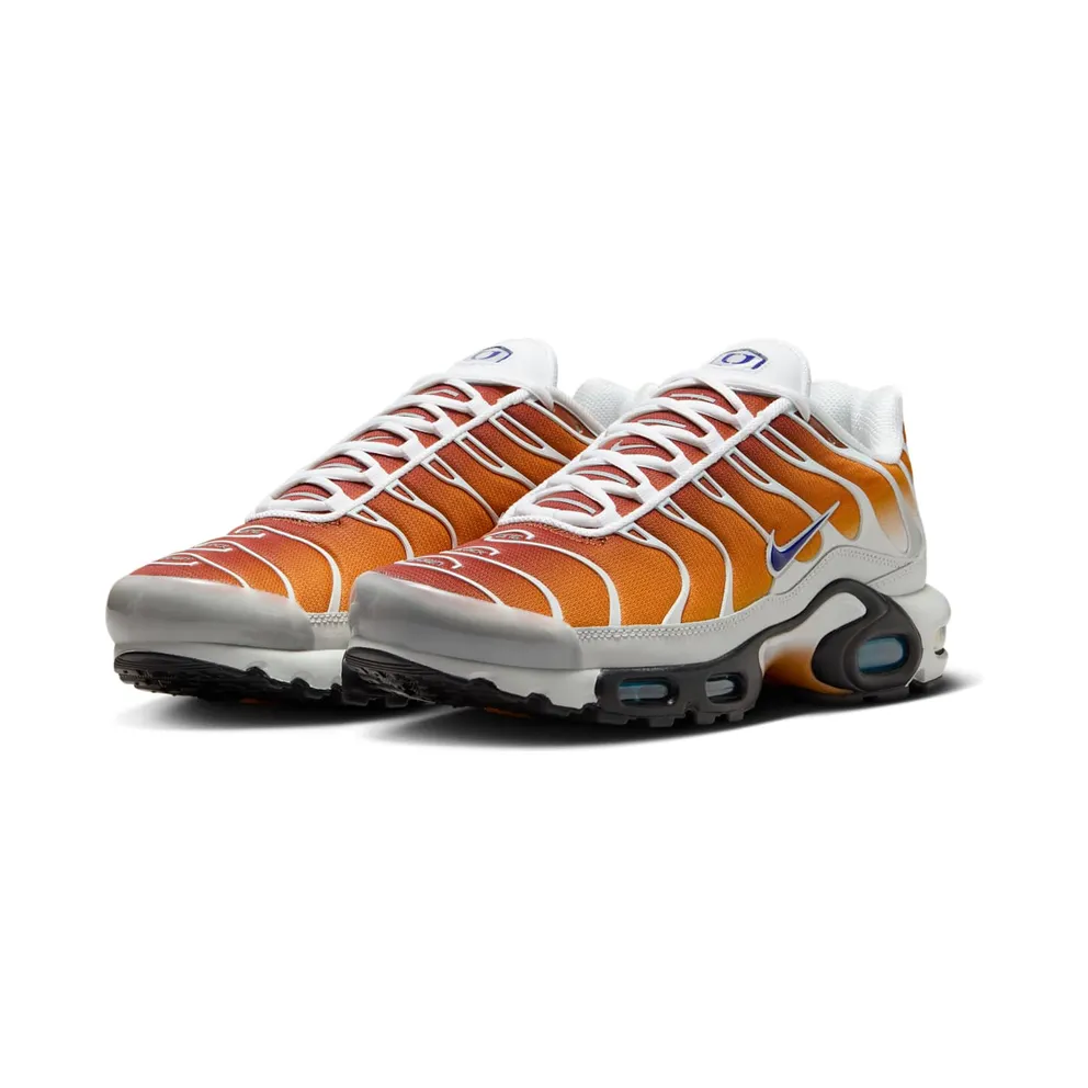 Nike Air Max Plus One Block Down Chutney (FZ3308-700)