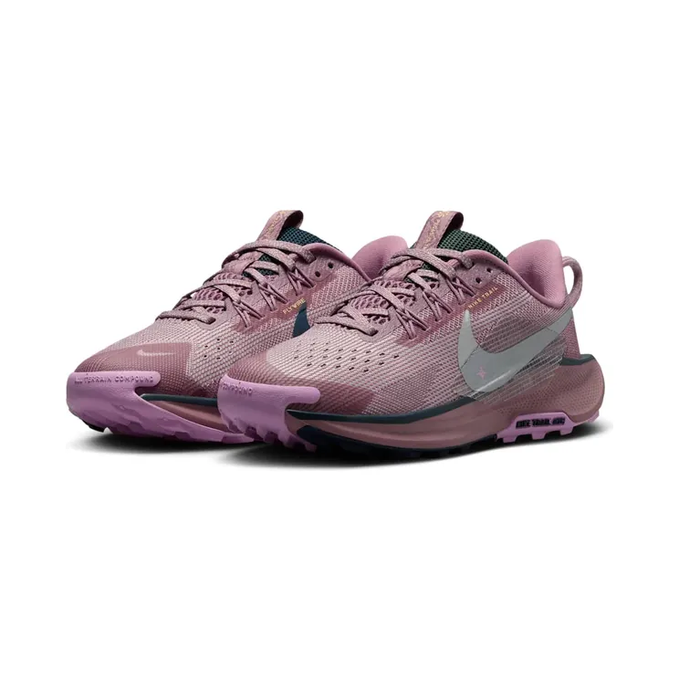 nike-air-pegasus FV5638-500