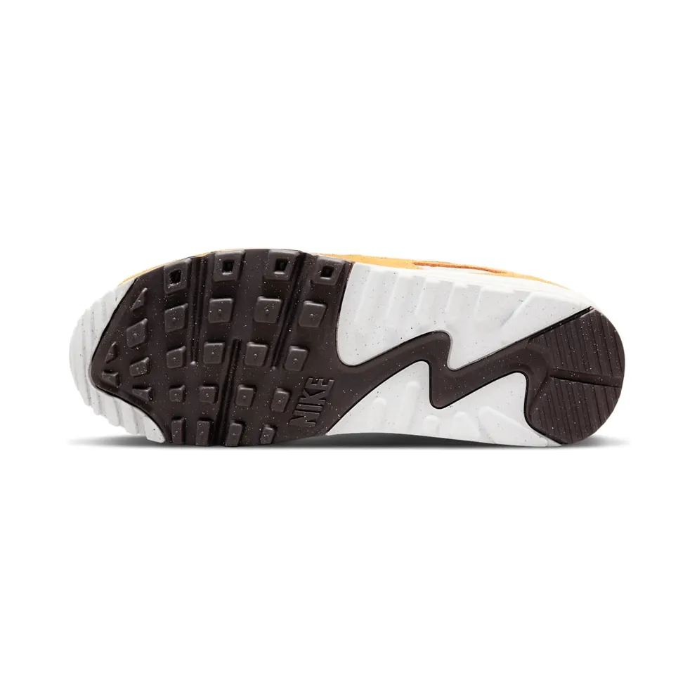 Nike Air Max 90 Grey (DQ9316-001)