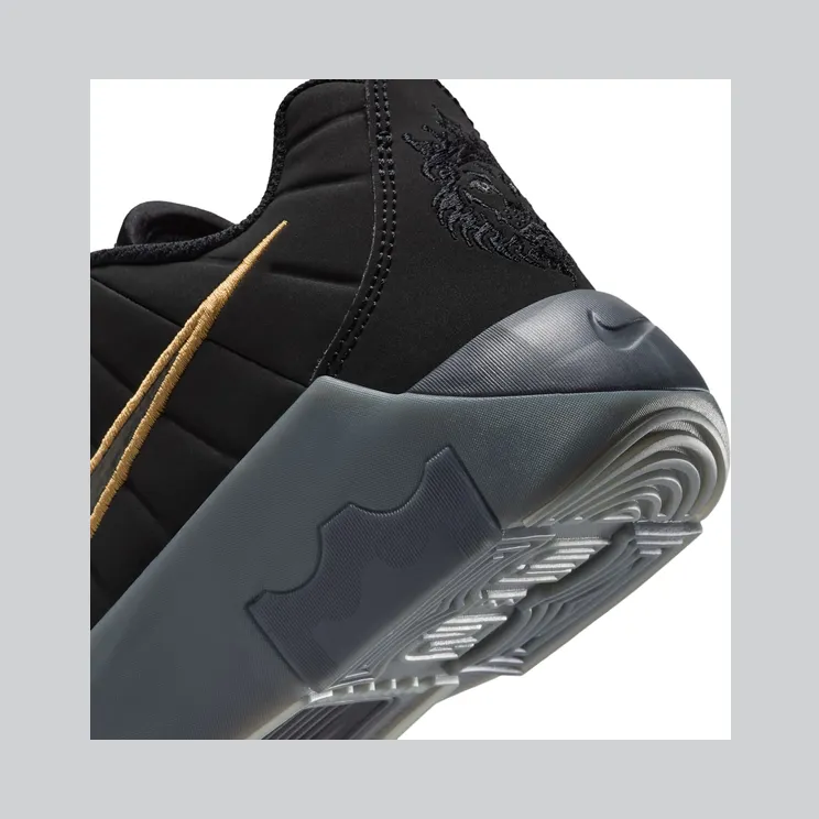 lebron-witness-9 HV2270-004