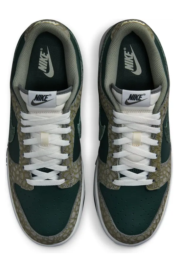 nike-dunk HF4878-053