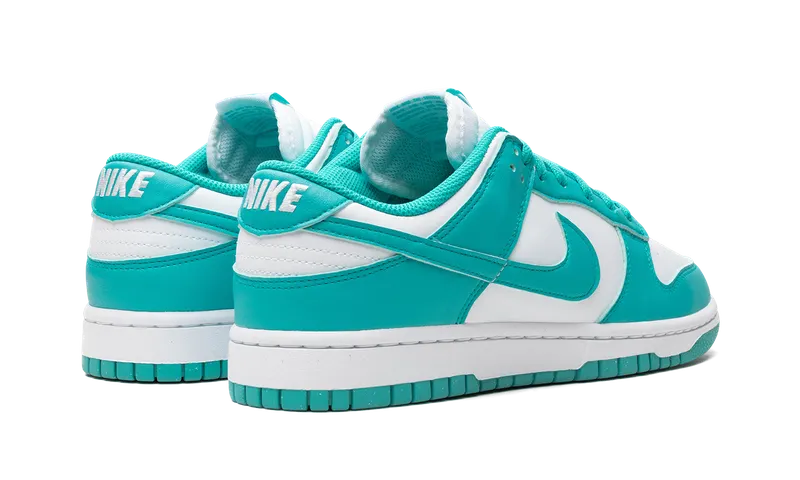 Nike Dunk Low Next Nature “Dusty Cactus” (DD1873-105)