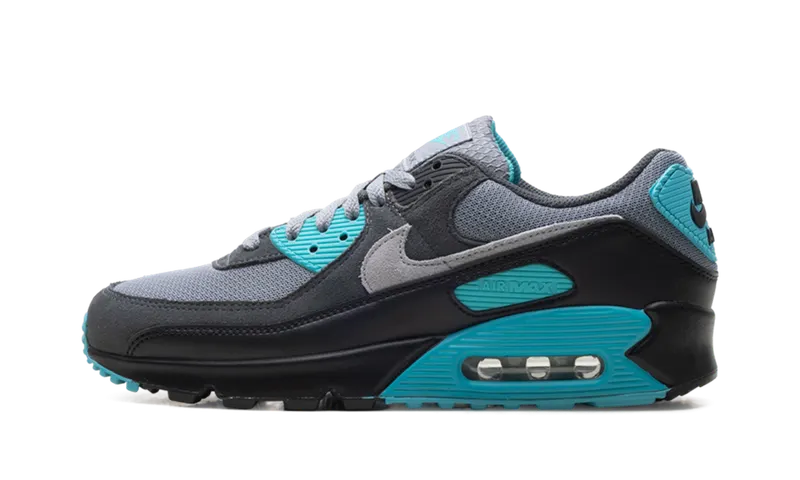 Nike Air Max 90 “Dusty Cactus” (DM0029-013)