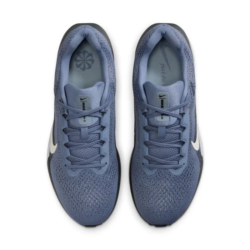 Nike Winflo 11 World Indigo Light Armory Blue (FJ9509-405)