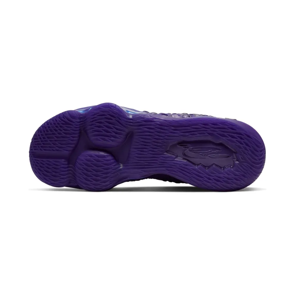 Nike LeBron 17 2K Purple/Purple-Purple (BQ3177-500)