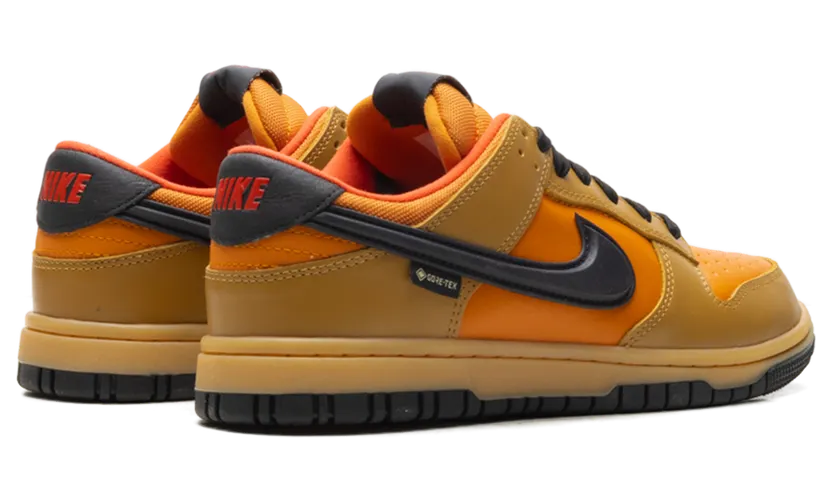 nike-dunk HQ2053-700