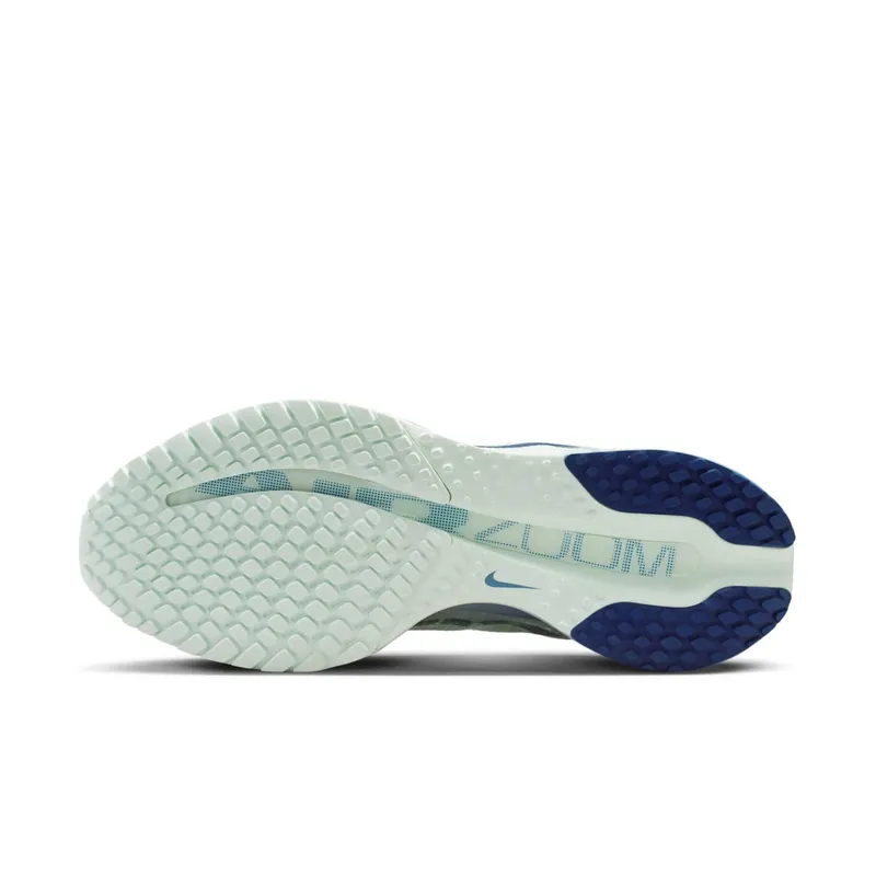 Nike Pegasus Barely Green/Work Blue/Football Grey/Blue Void (HQ2593-301)