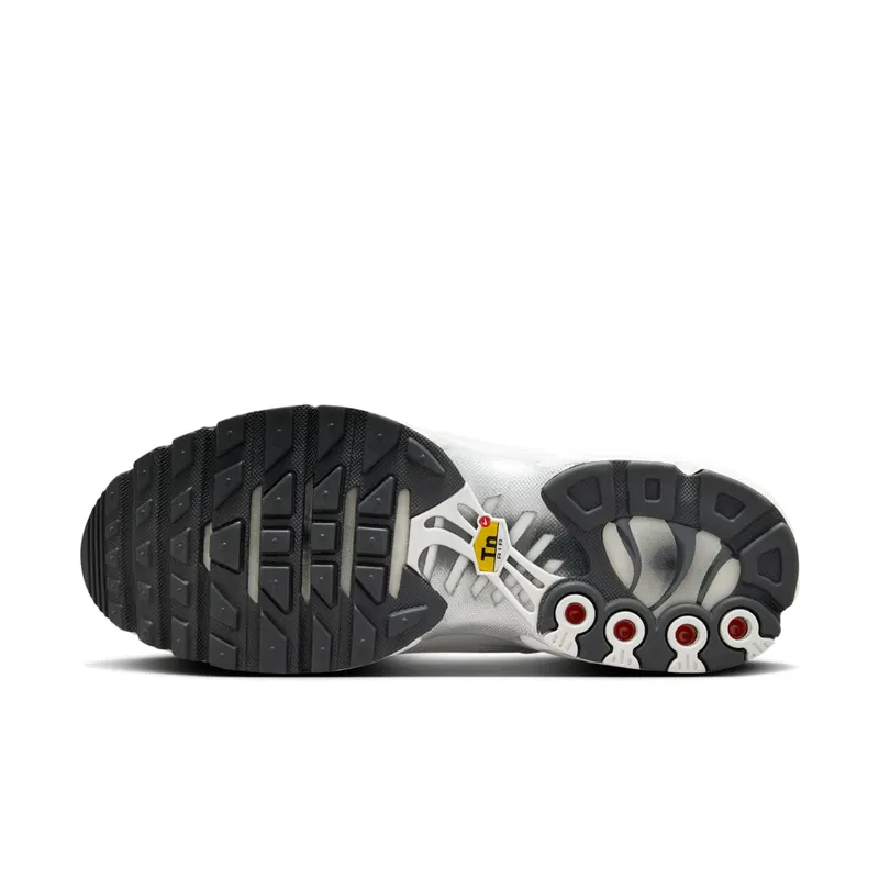 Nike Air Max Plus Platinum Tint/Dark Smoke Grey/Metallic Silver/Platinum Tint (FZ4342-001)