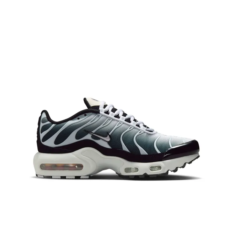 Nike Air Max Plus Black White Sail Metallic Cool Grey (CD0609-026)