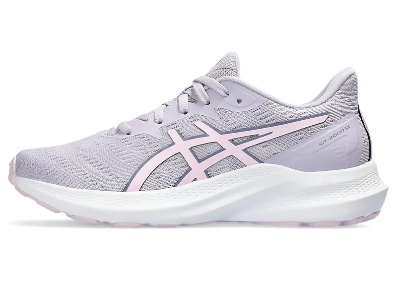 Asics Gt-2000 12 Gs Faded Ash Rock/Cosmos (1014A330.500)