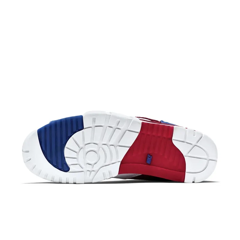 Nike Air Trainer 1 Puerto Rico (607081-102)