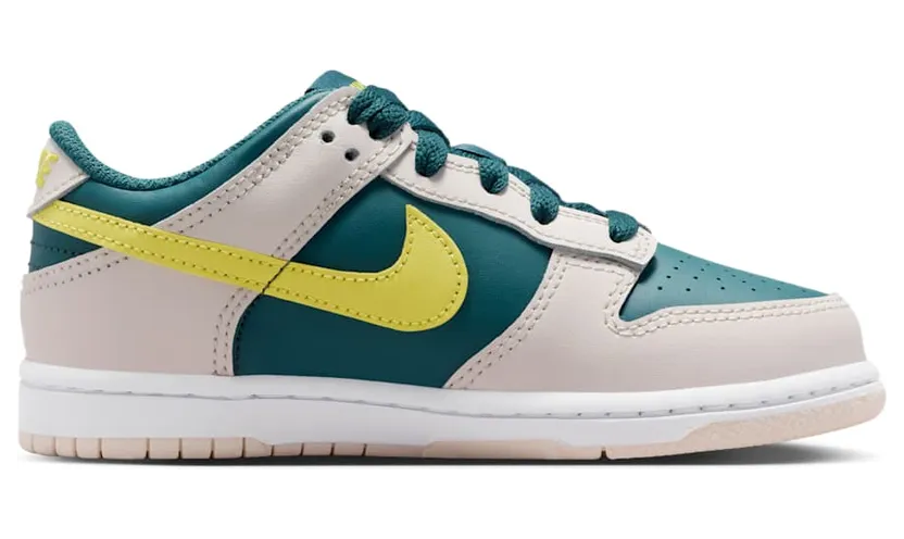 nike-dunk FB9108-303