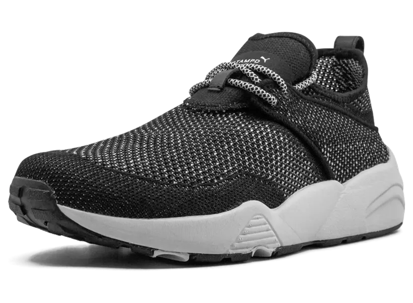 puma-trinomic 362744-03
