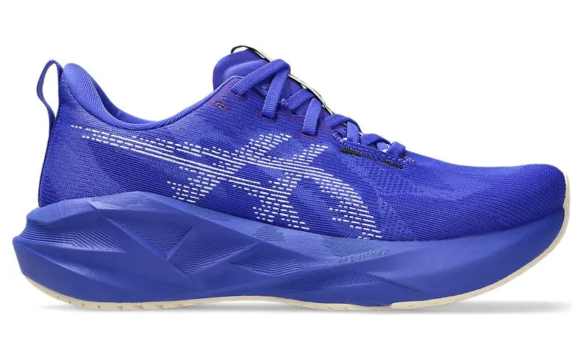 asics-novablast 1012B765-403