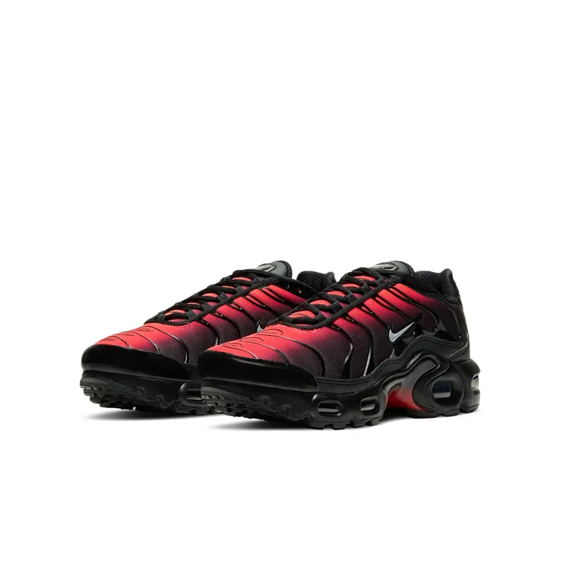 Nike Air Max Plus Black Crimson (DD3229-001)