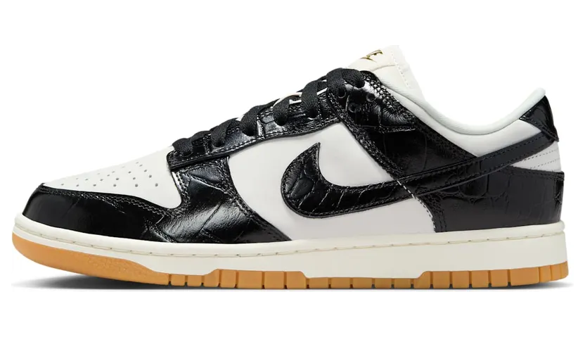 nike-dunk FJ2260-003