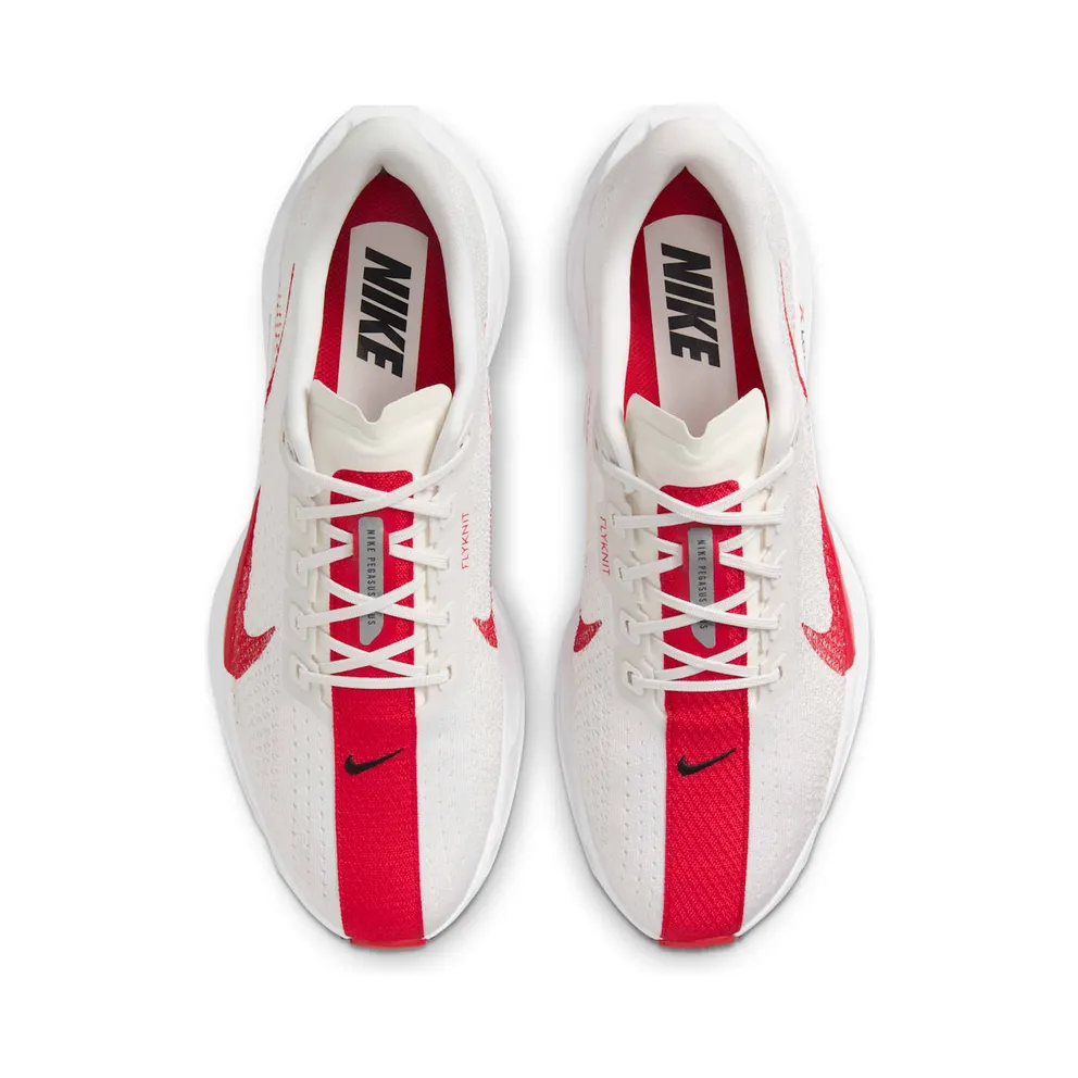 Nike Pegasus Plus “Platinum Tint University Red” (FQ7262-003)
