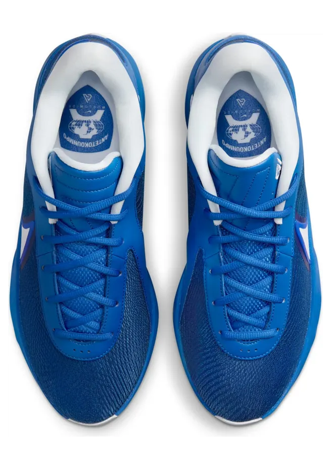 nike-zoom FV1292-401