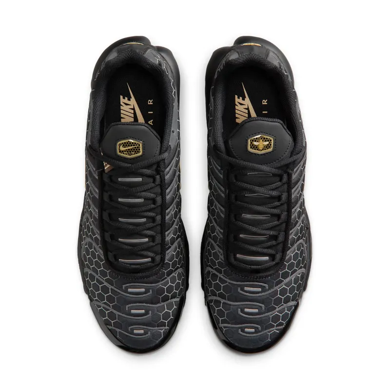 Nike Air Max Plus Black/Chalk/Baroque Brown-Linen (IQ0287-010)