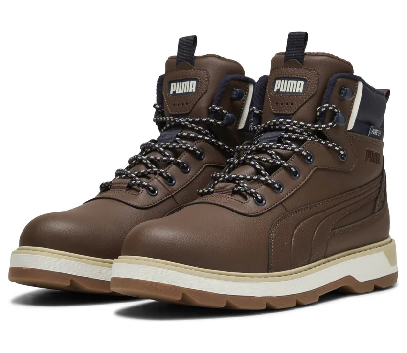 puma-desierto 393928_05