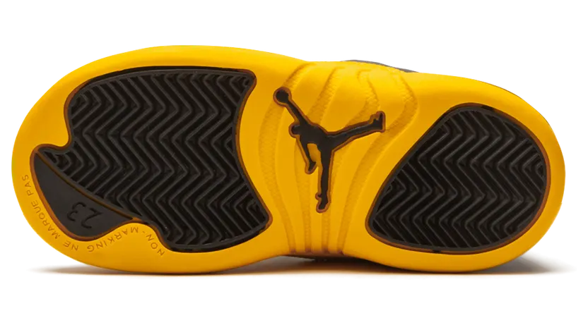 air-jordan-12 850000-070