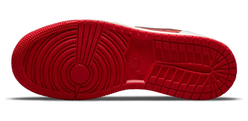 air-jordan-1 DJ5186-100