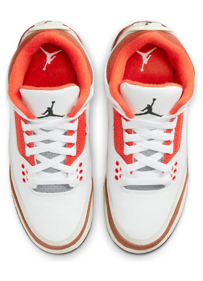 air-jordan-3 DV7028-108