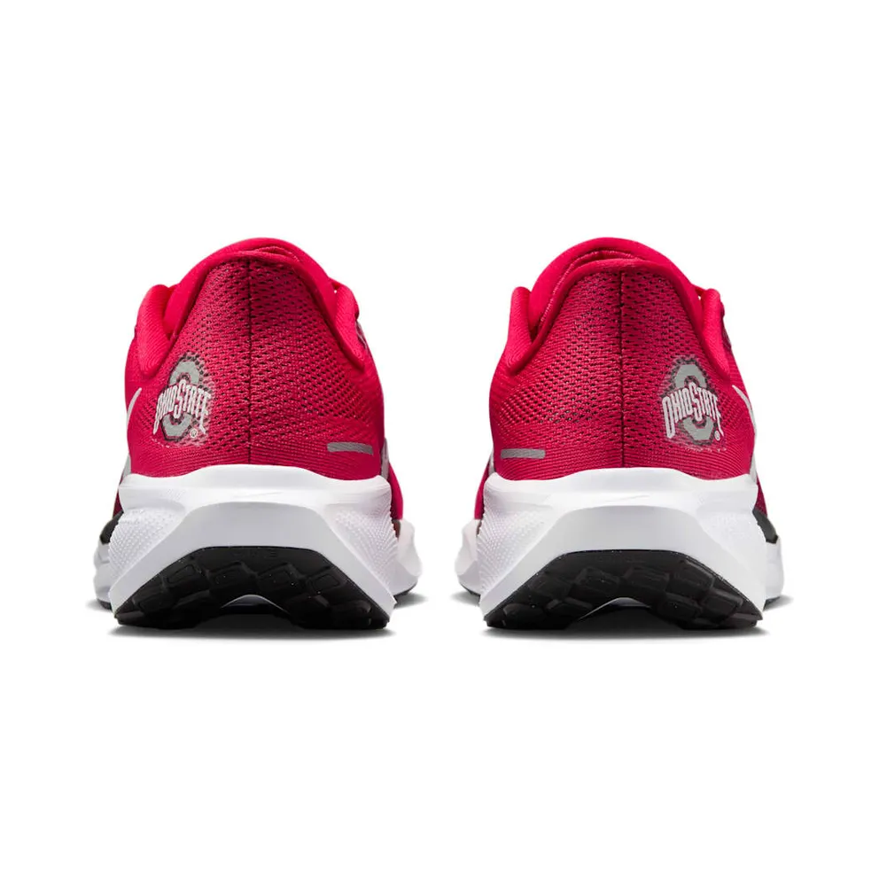Nike Air Zoom Pegasus 41 “Ohio State” (IB3254-600)