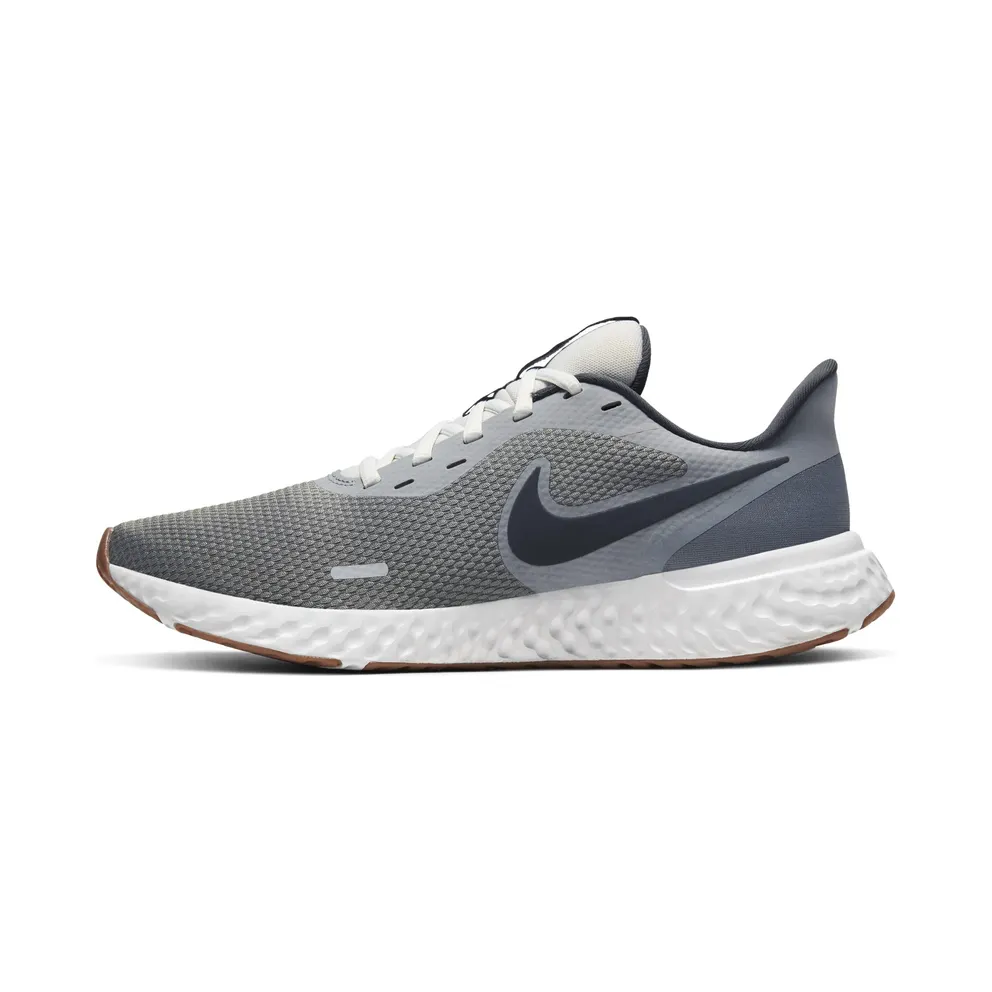 Nike Revolution 5 Smoke Grey Smoke Grey/Photon Dust-Dark Smoke Grey (BQ3204-008)