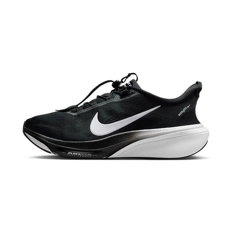 Nike Pegasus “Black / Dark Smoke Grey / White” (IM4110-001)