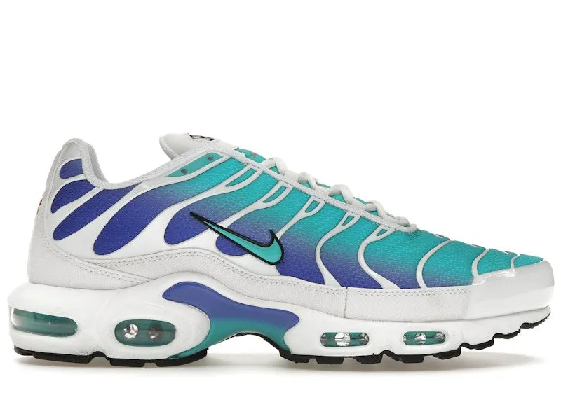 Nike Air Max Plus Aqua (DM0032-102)