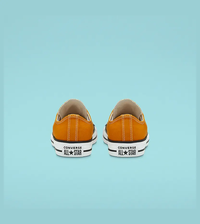 converse-chuck-taylor-all-star 168578C