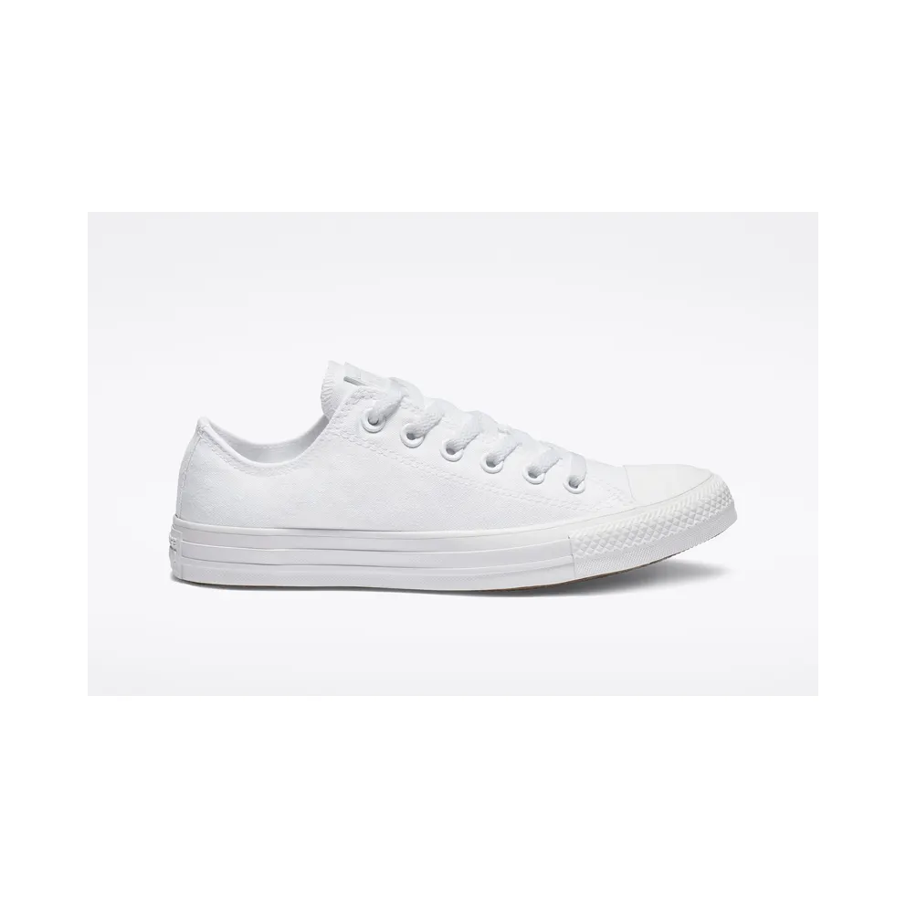 Converse Mono Colour Chuck Taylor All Star Low Top (1U647)