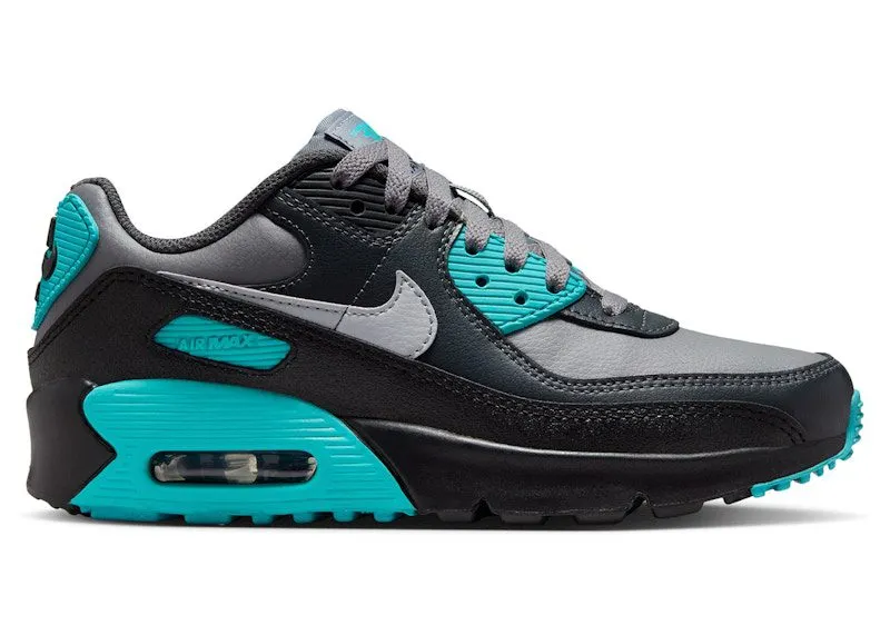 Nike Air Max 90 LTR Cool Grey Dusty Cactus Black Wolf Grey (CD6864-027)