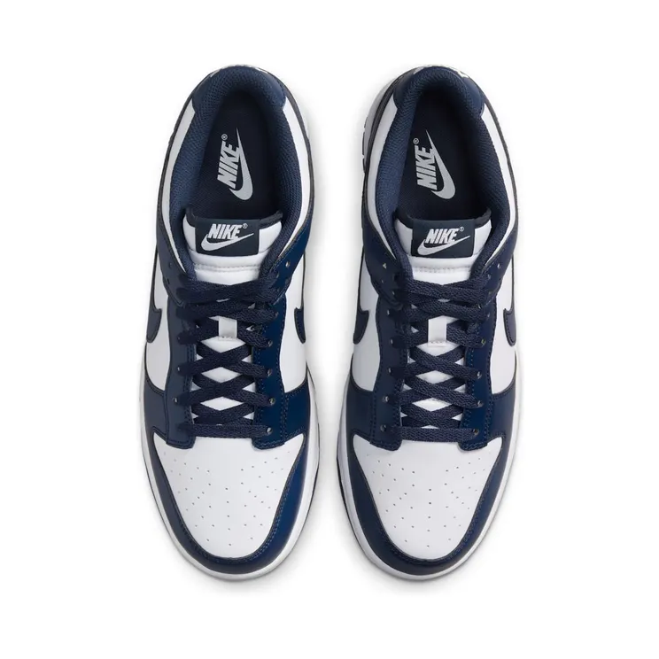 nike-dunk HF5441-107