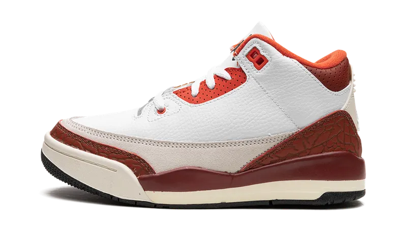 Air Jordan 3 PS “Dunk On Mars” (DV7027-108)