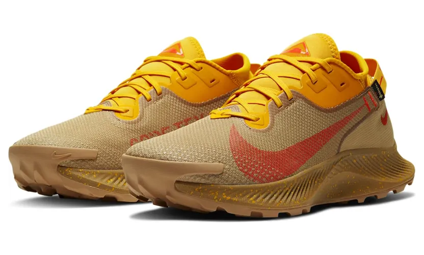 nike-air-pegasus DC1933-700