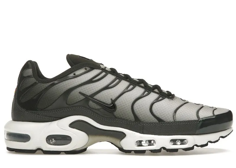 Nike Air Max Plus Sequoia Cargo Khaki (DM0032-300)