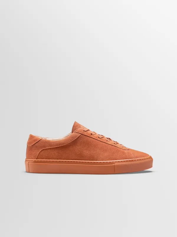koio-sneaker CACPM1