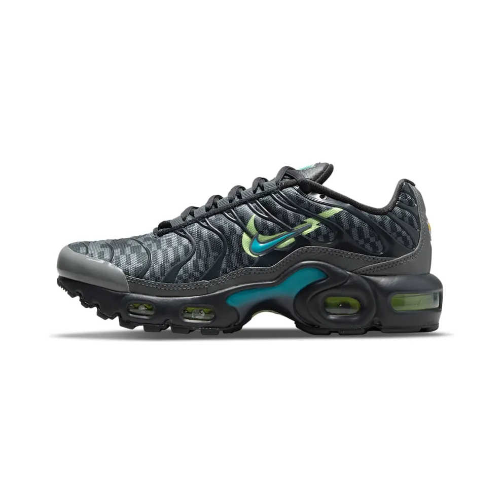 Nike Air Max Plus Grau (DM3266-001)