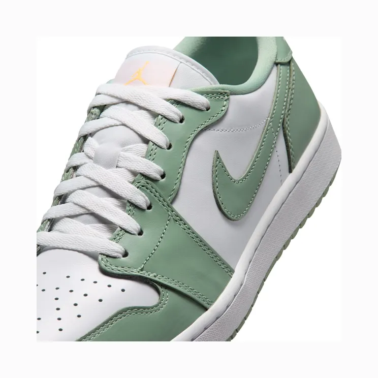 air-jordan-1 DD9315-008