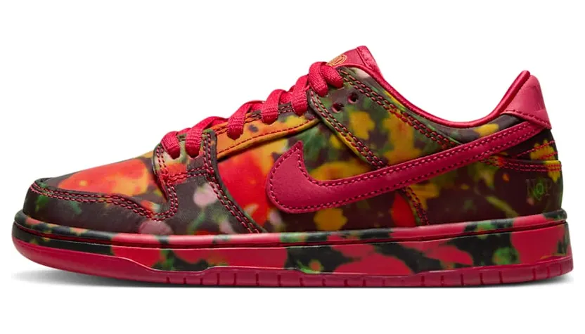 Nike SB FZ1236-600