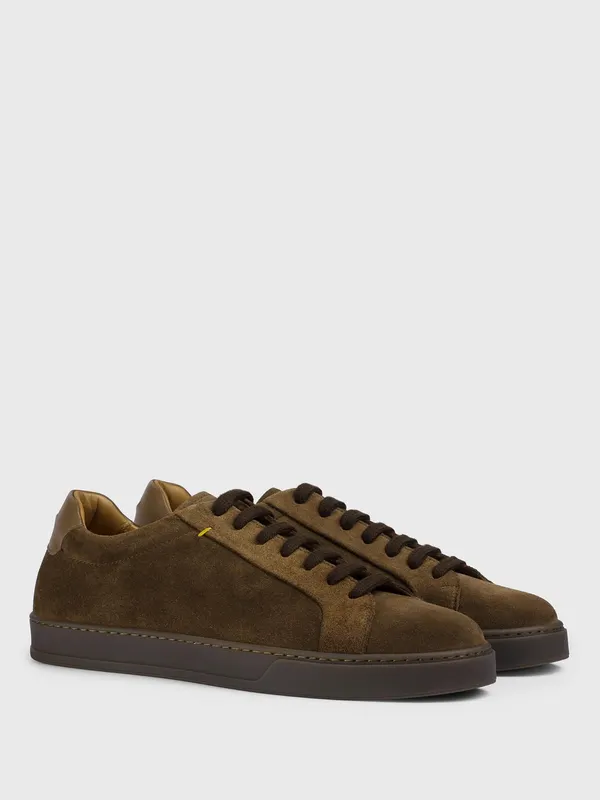 Doucal’s Brown (DU3483SPENPF796SC05)